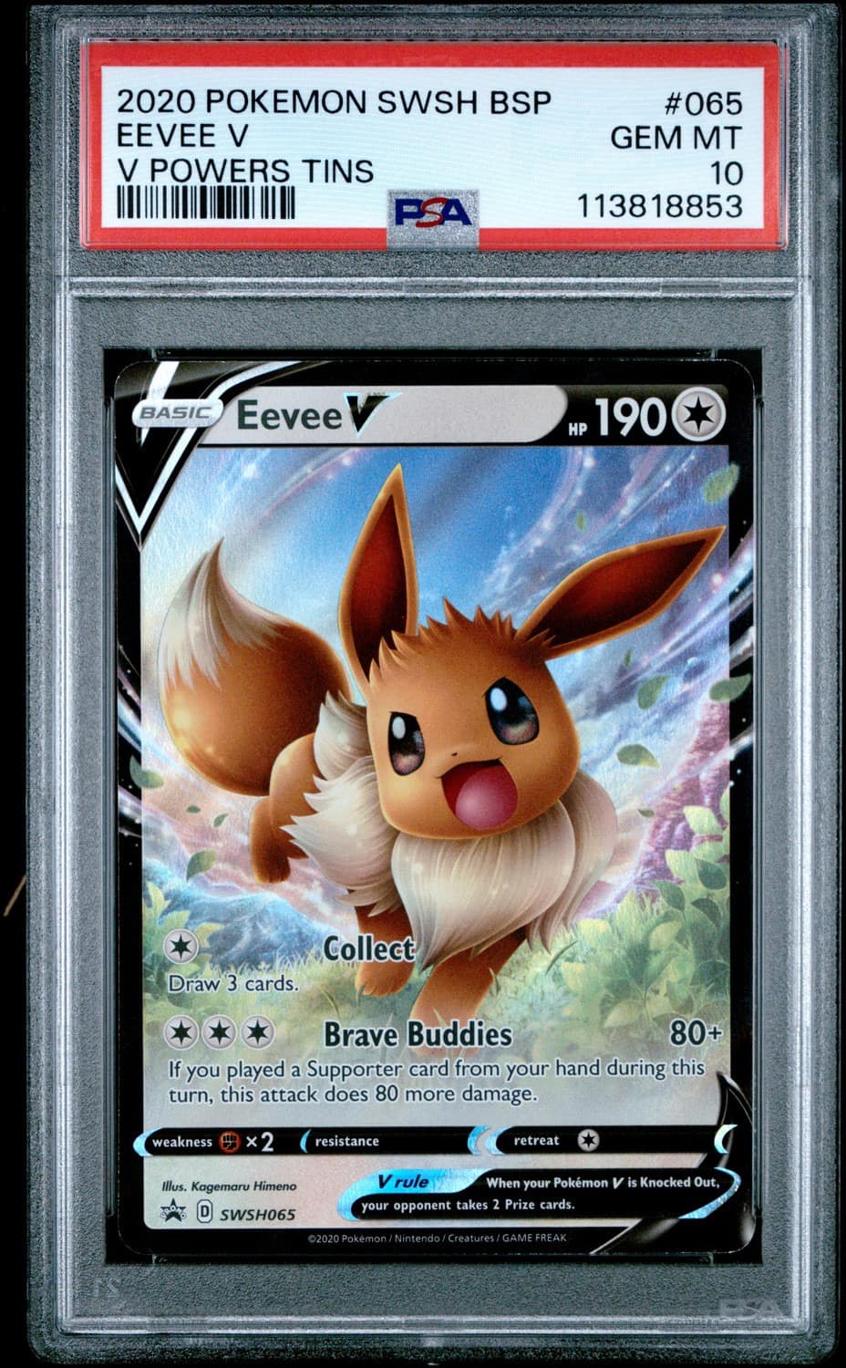 Eevee V