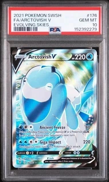 Arctovish V
