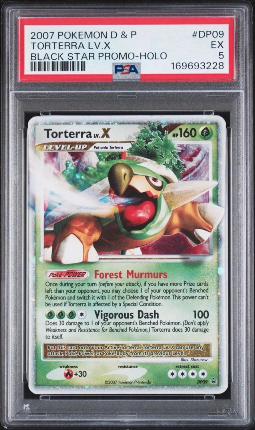 Torterra Lv.x