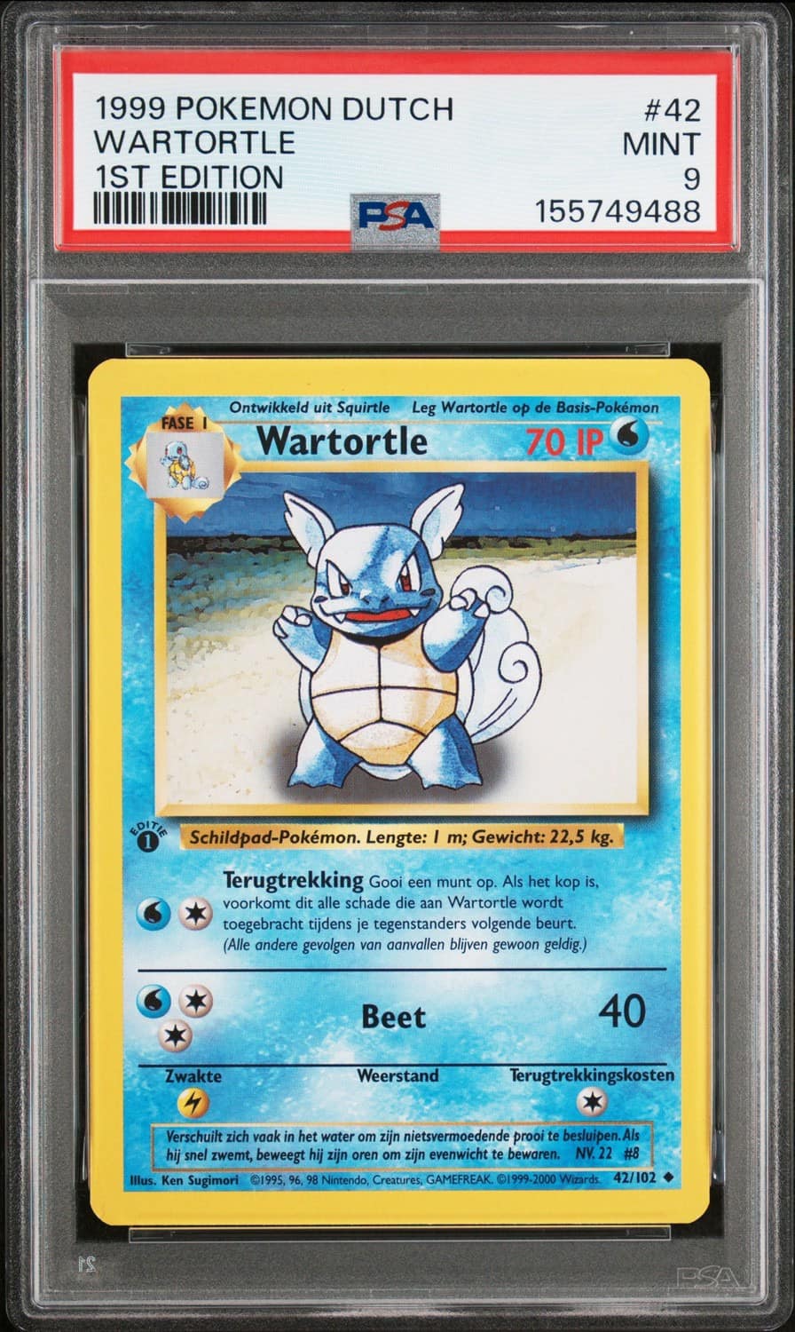 Wartortle
