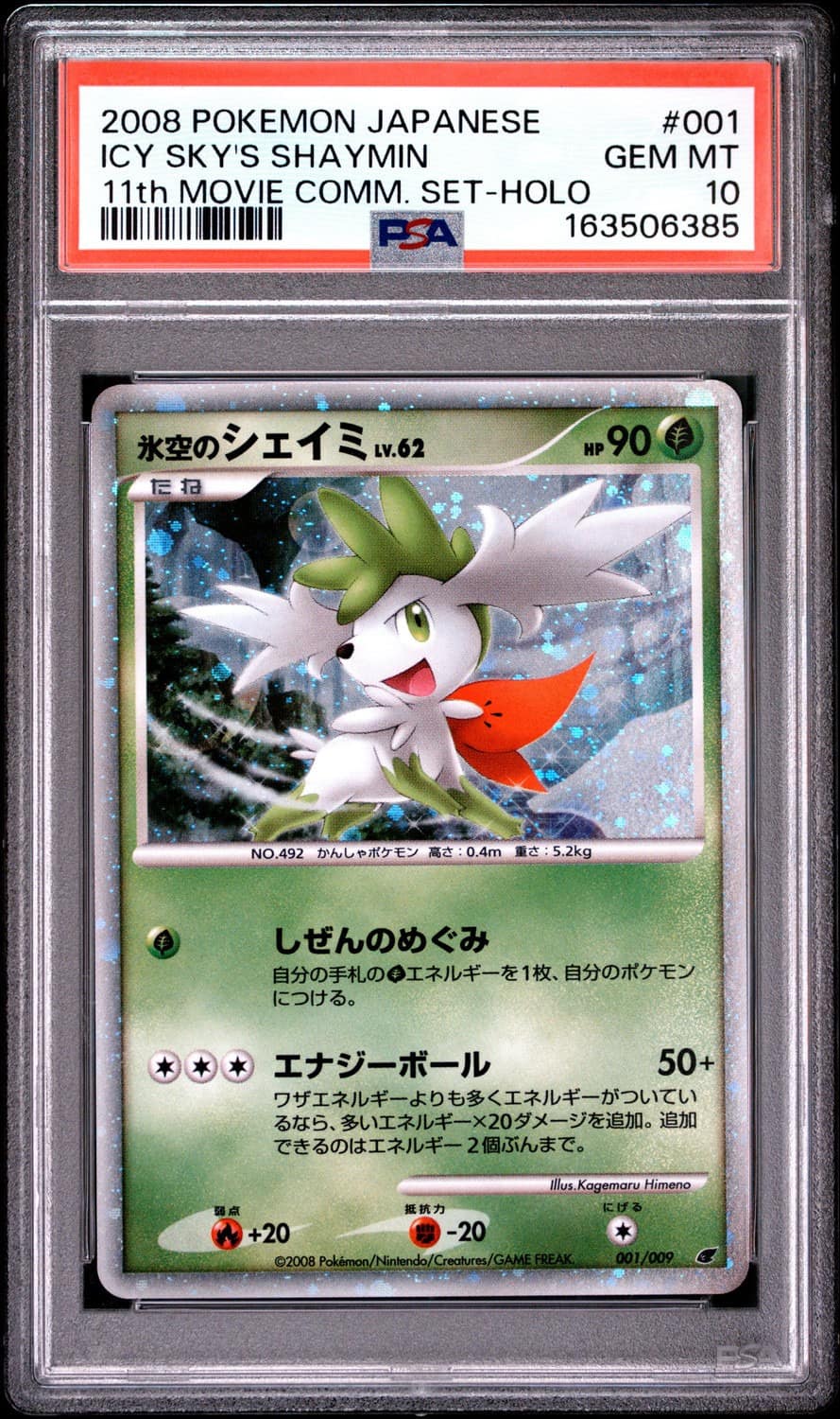 Icy Sky'S Shaymin
