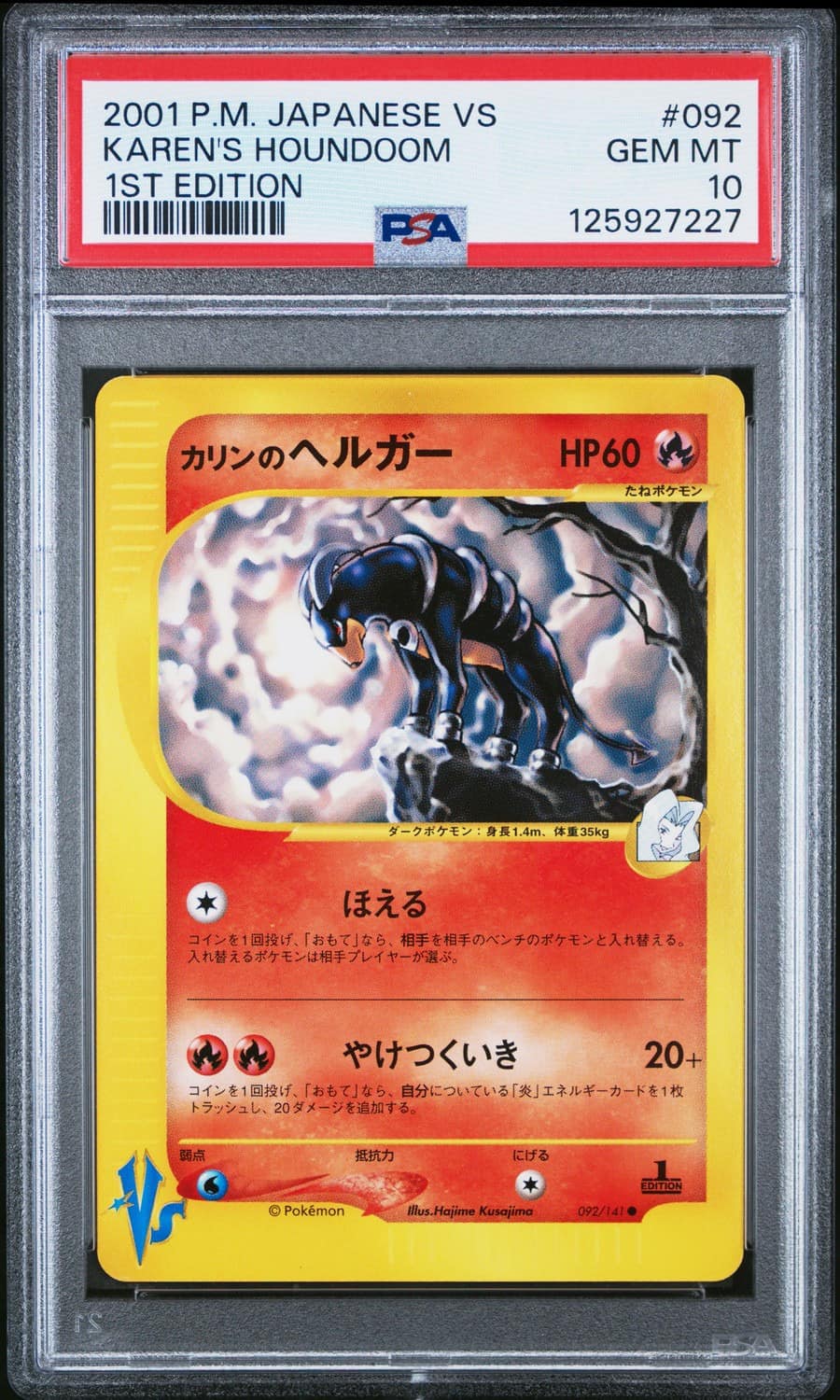 Karen'S Houndoom