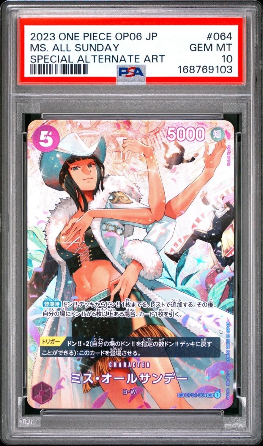 Ms. All Sunday Foil Sp
