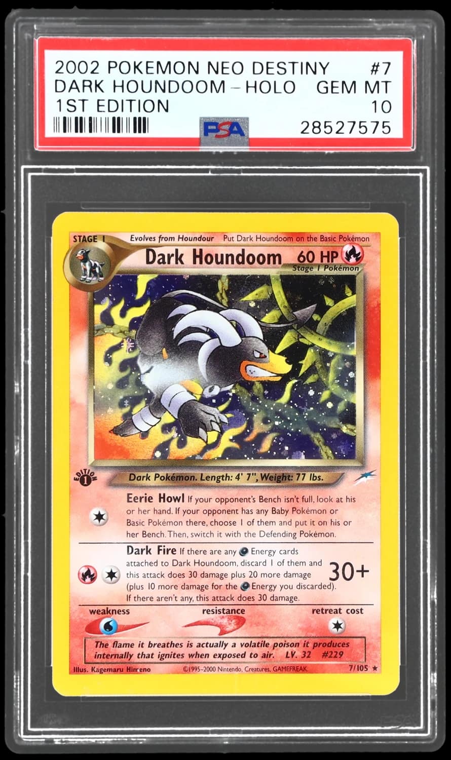 Dark Houndoom