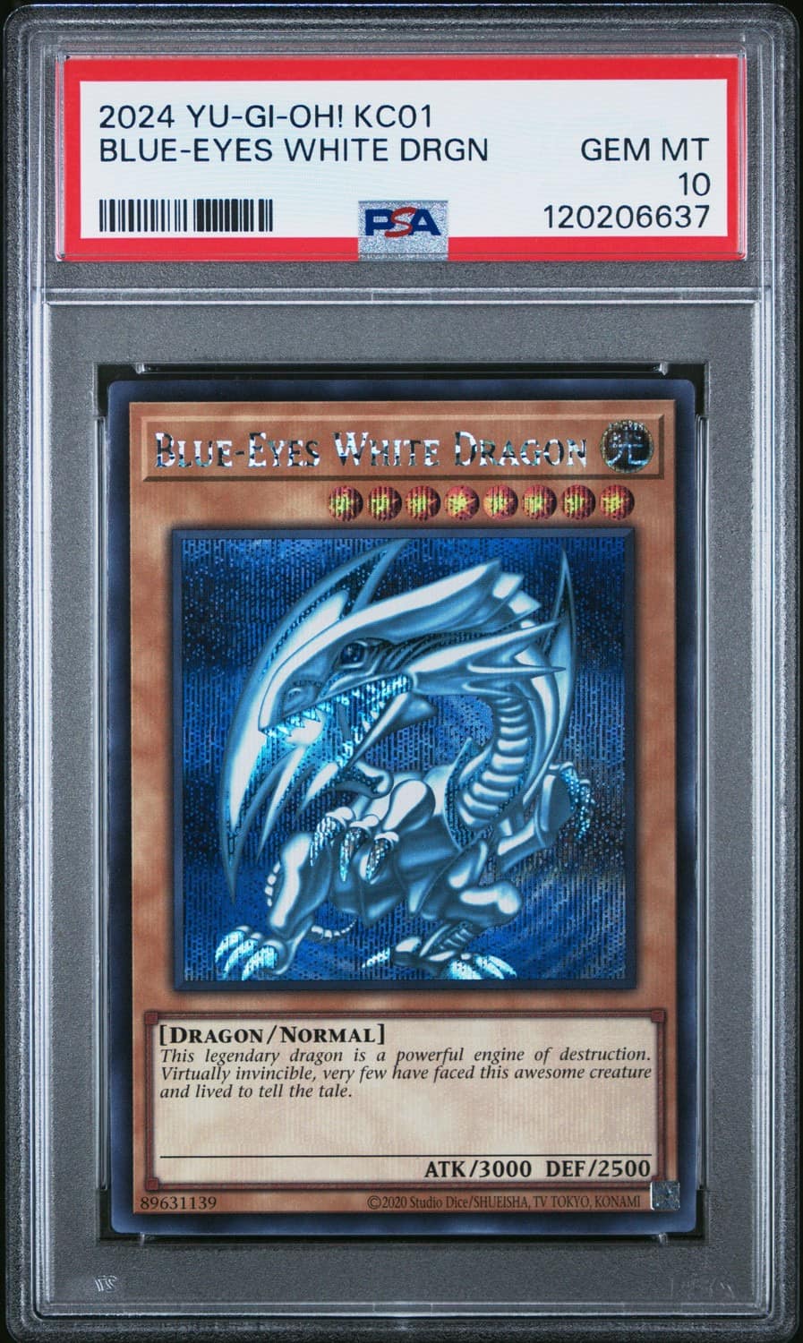 Blue-Eyes White Drgn