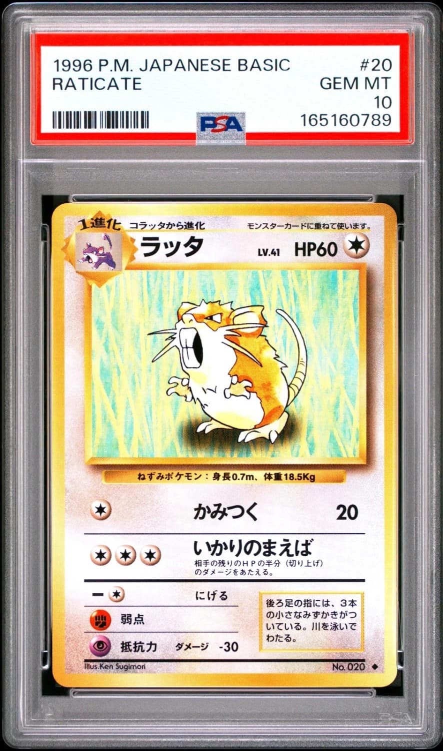 Raticate