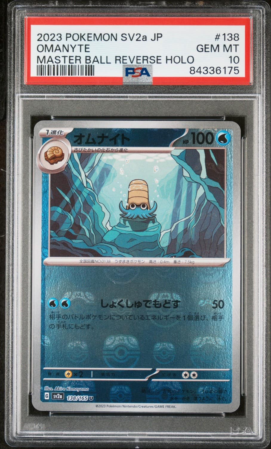 Omanyte