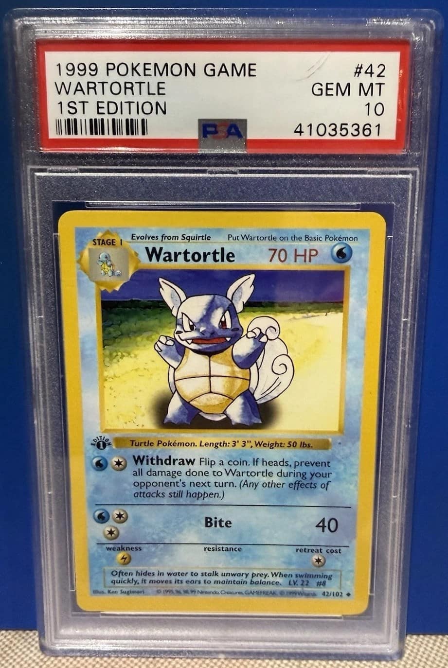 Wartortle