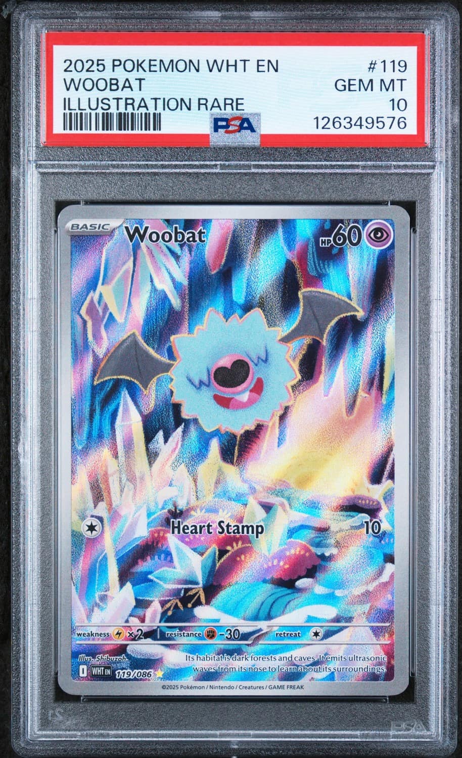 Woobat