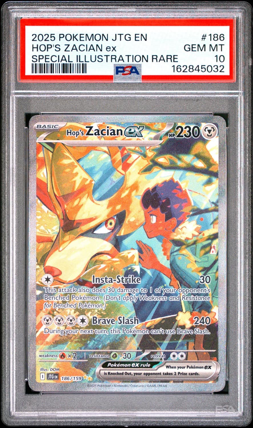 Hop'S Zacian Ex