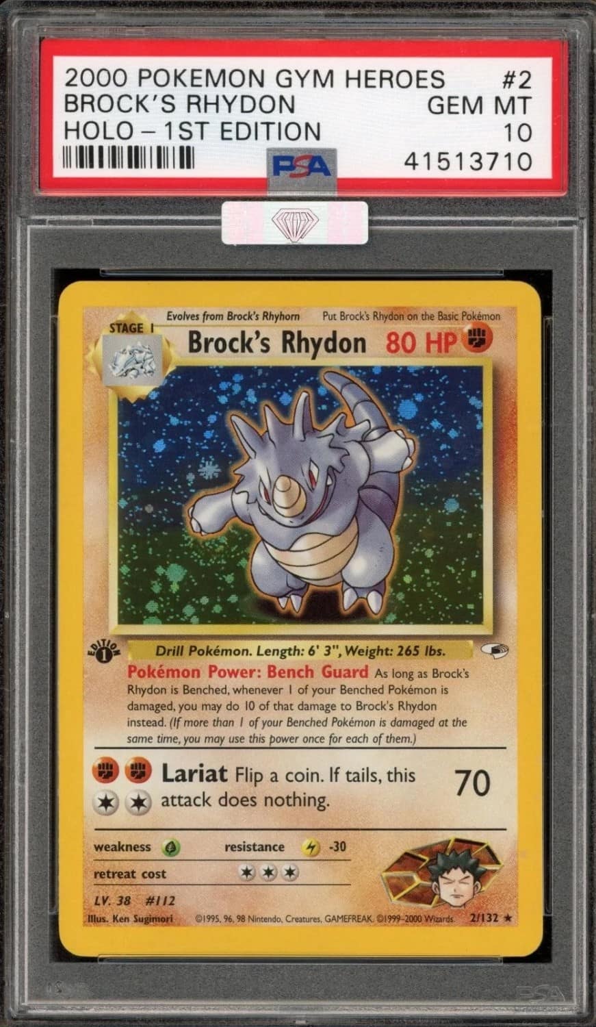 Brock'S Rhydon