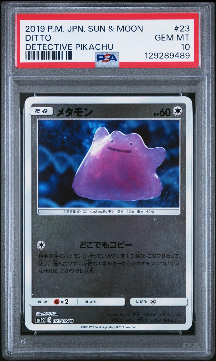 Ditto