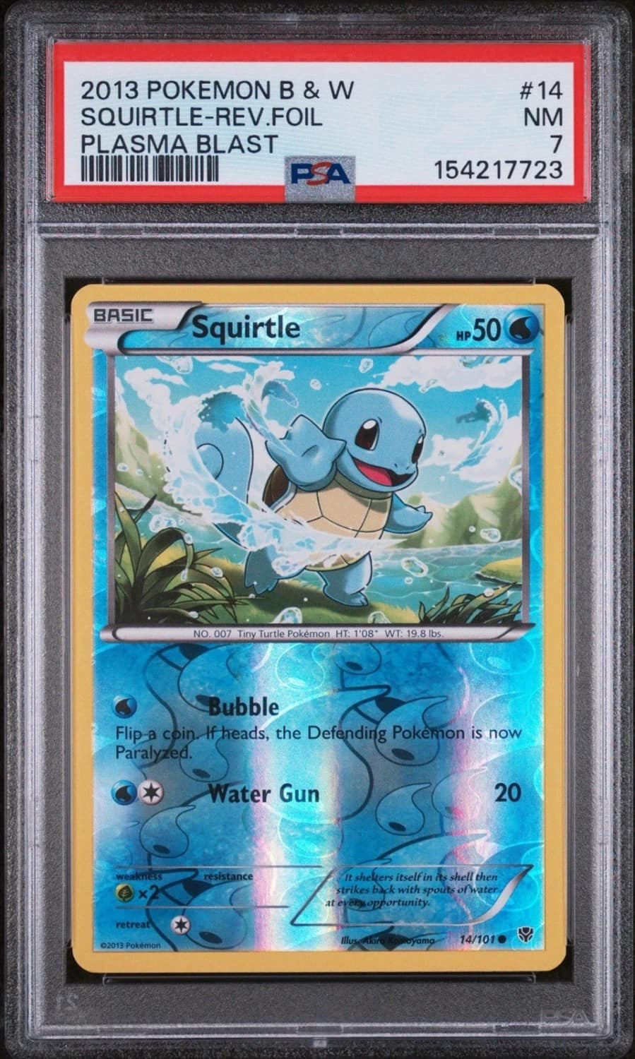 Squirtle