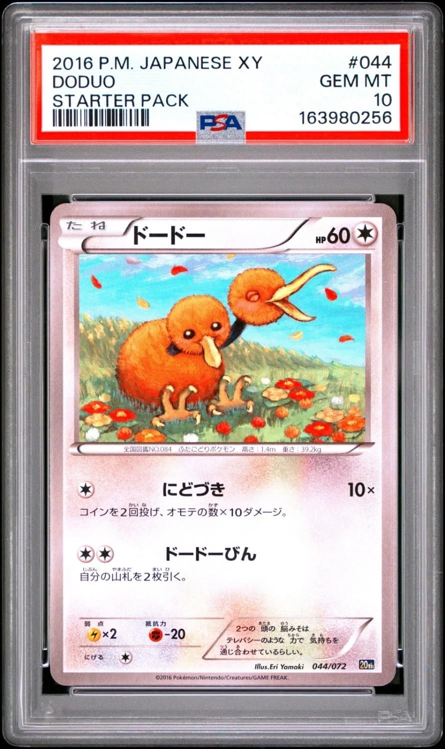 Doduo