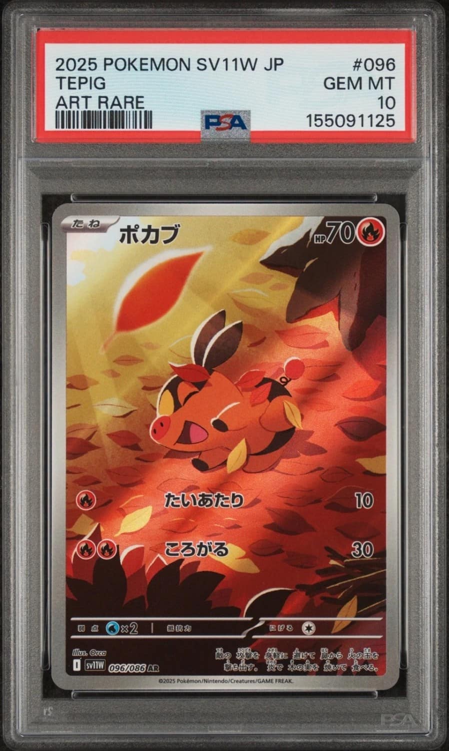 Tepig