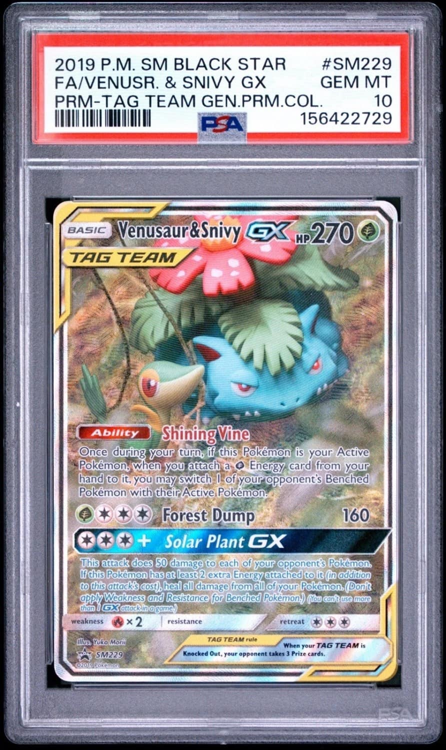 Venusaur & Snivy Gx