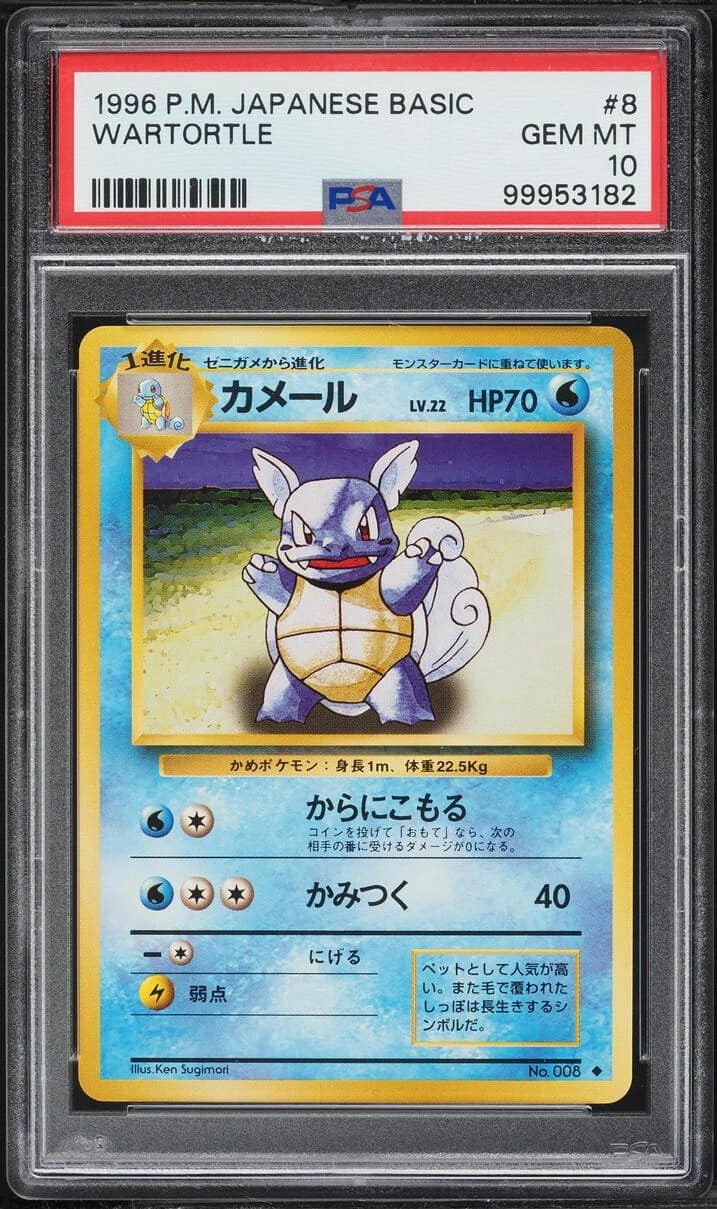Wartortle