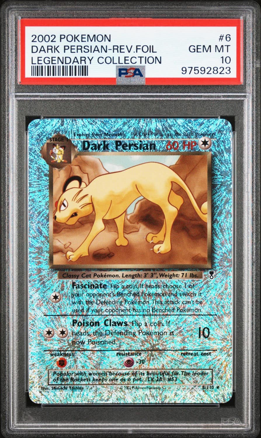 Dark Persian