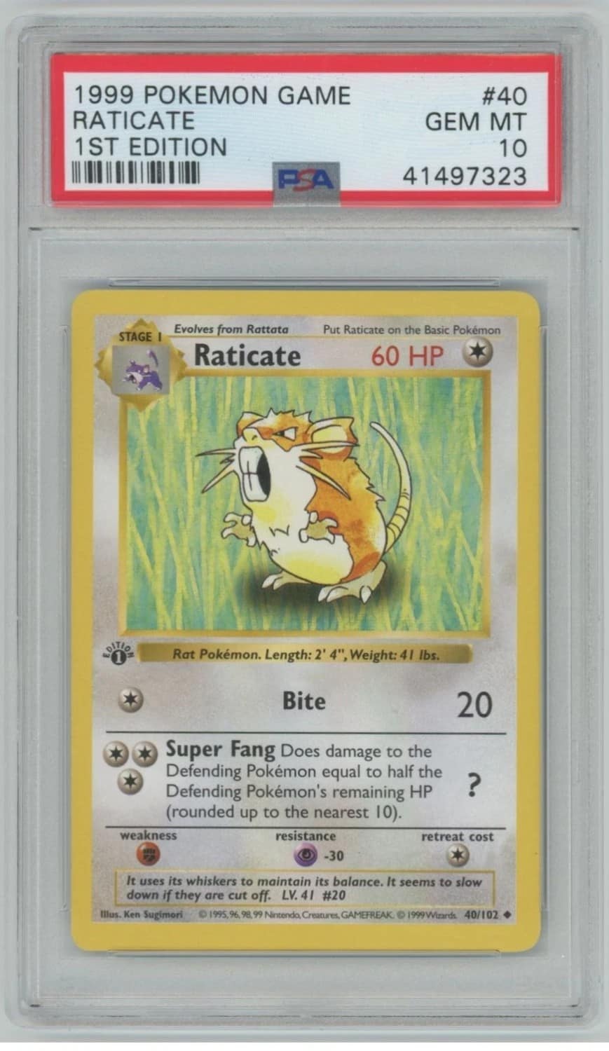 Raticate