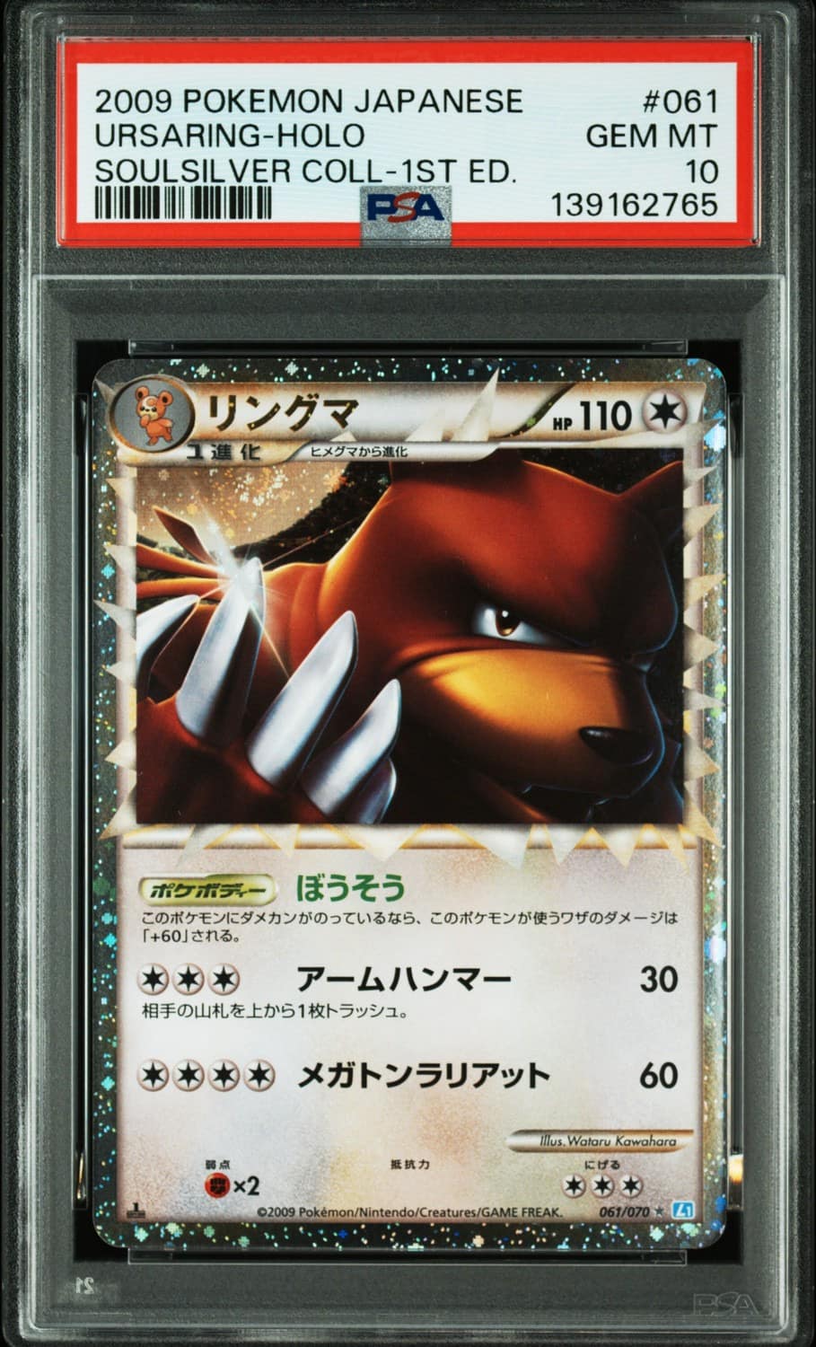 Ursaring