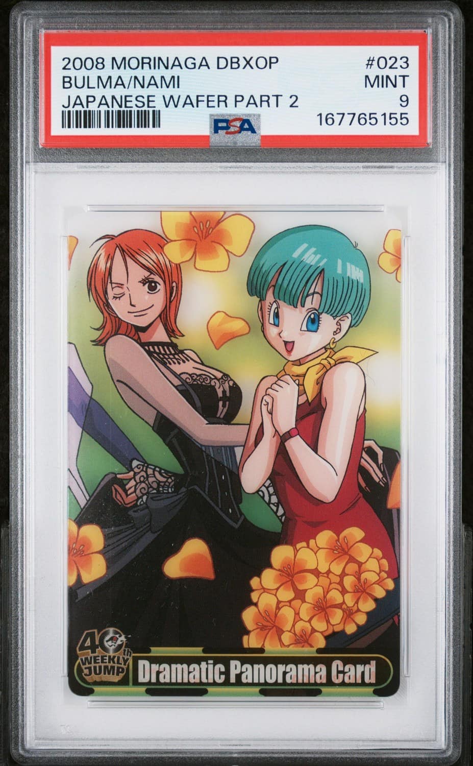Bulma/nami