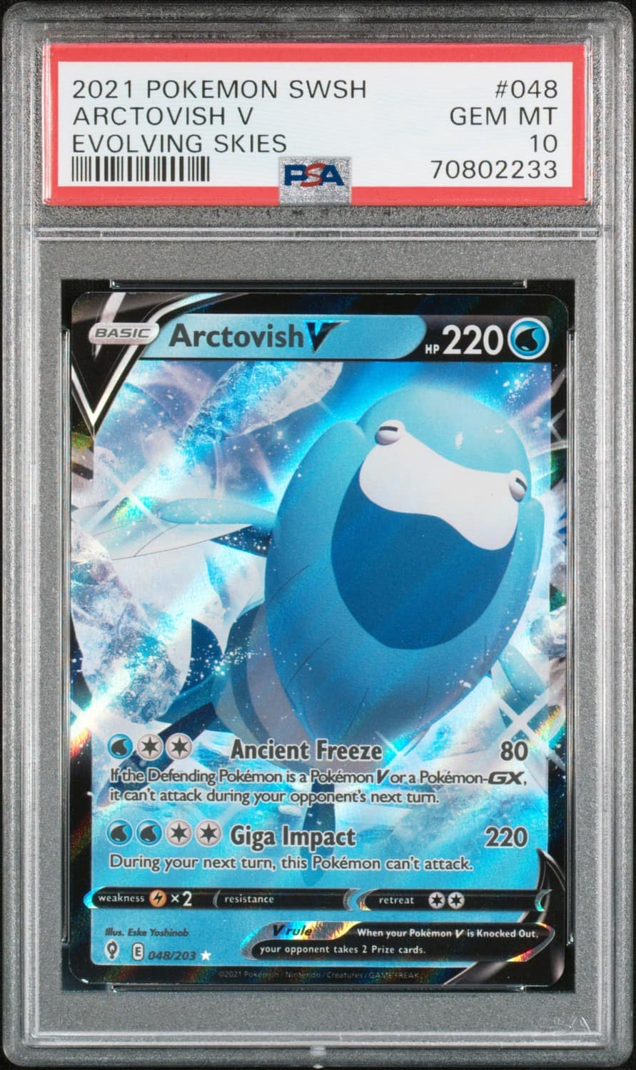Arctovish V