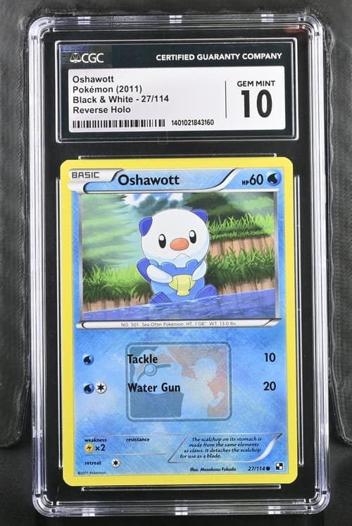 Oshawott