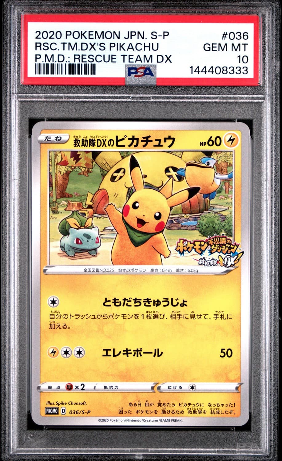 Rescue Team Dx'S Pikachu
