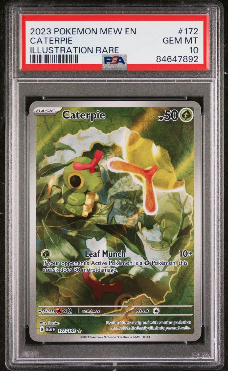 Caterpie