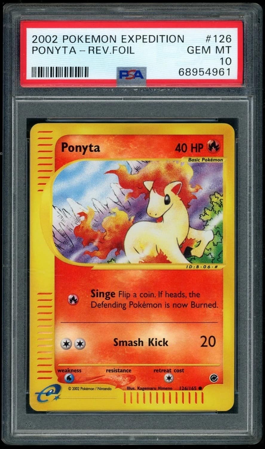 Ponyta