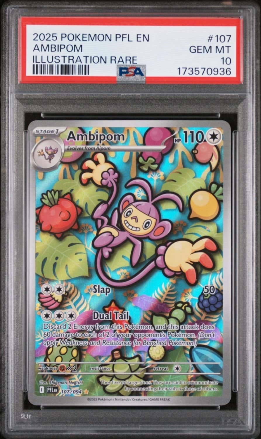 Ambipom
