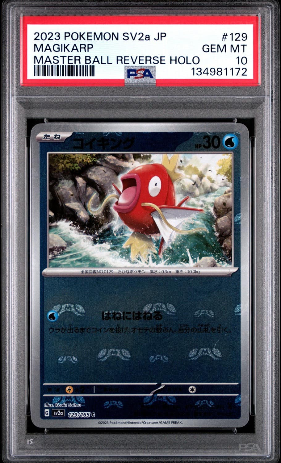 Magikarp