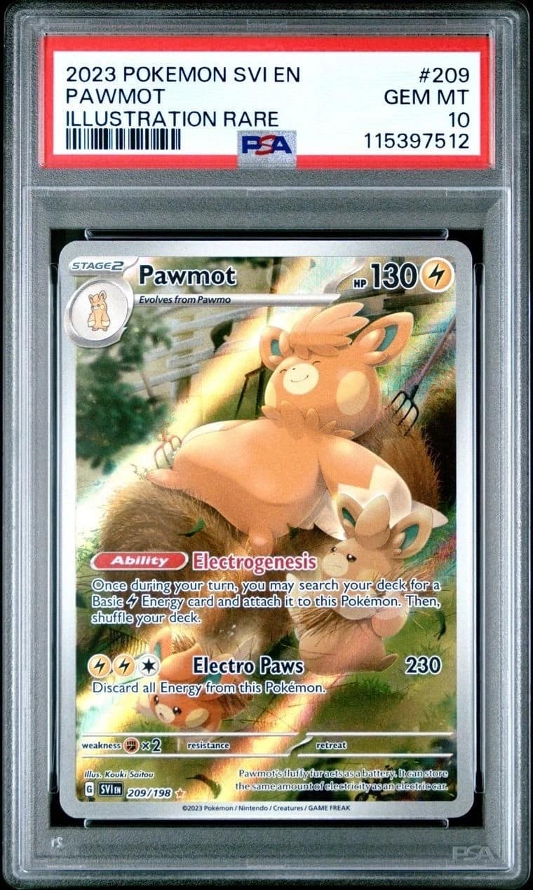 Pawmot
