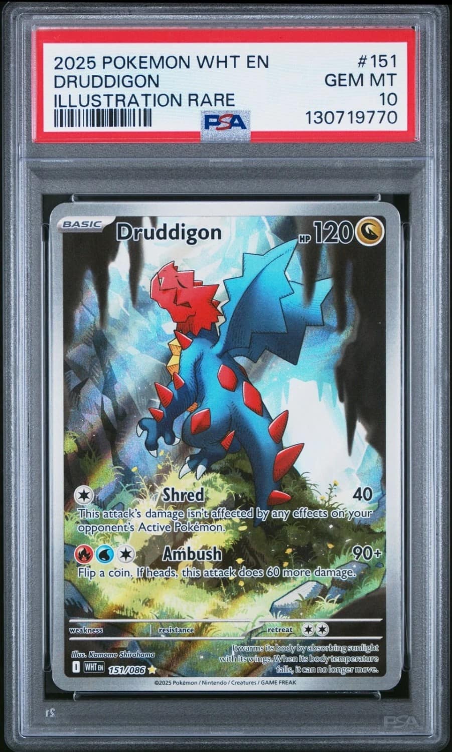 Druddigon