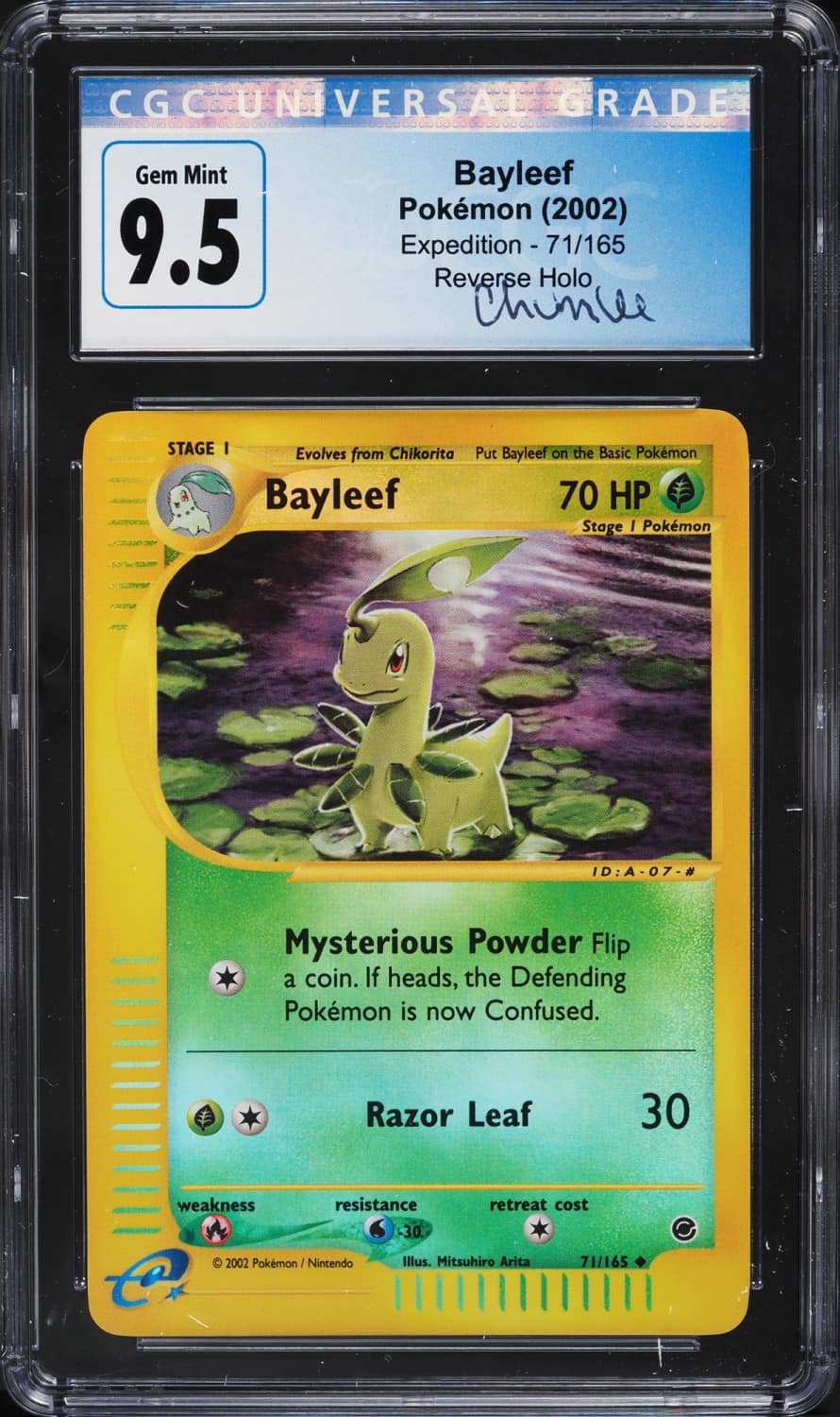 Bayleef