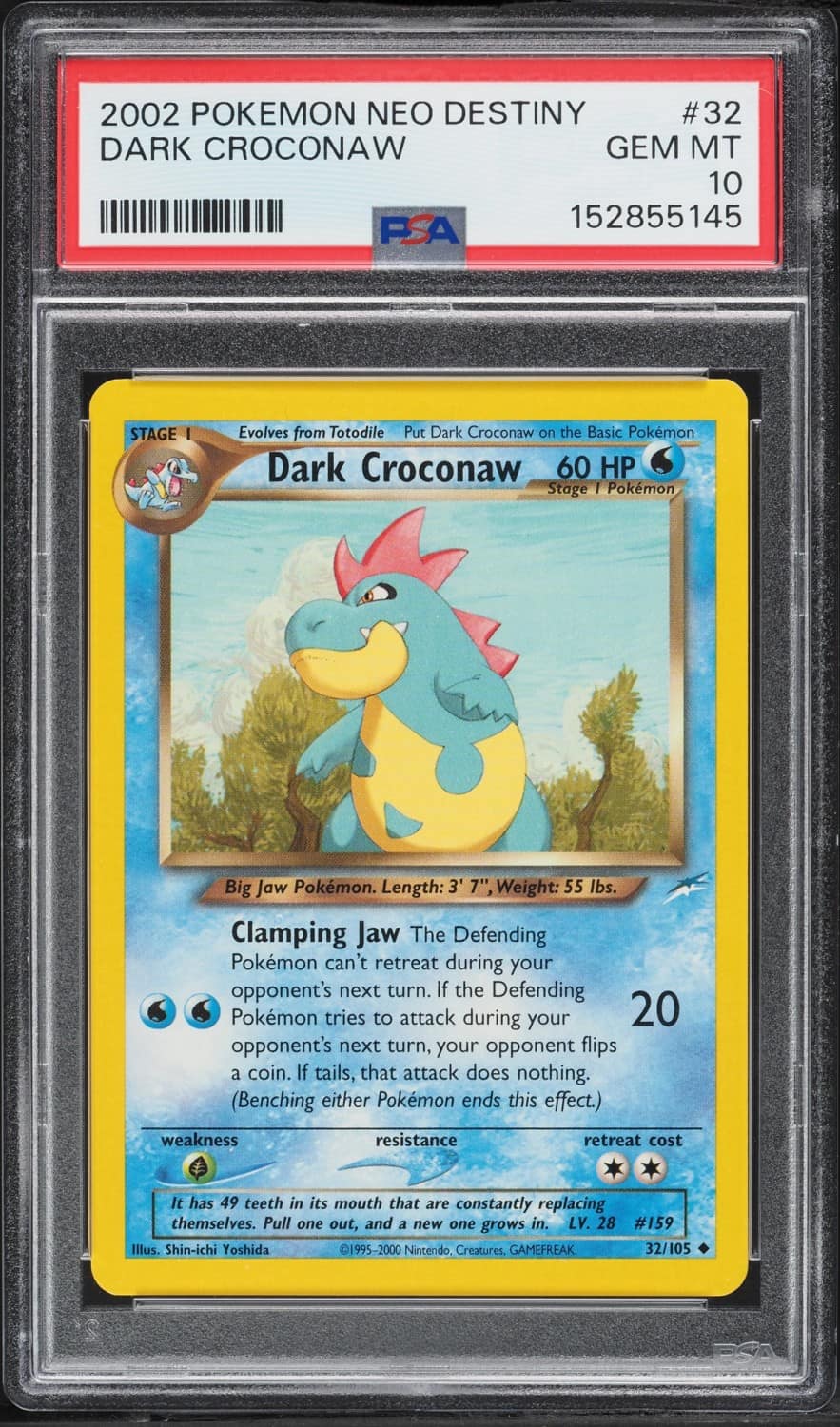 Dark Croconaw