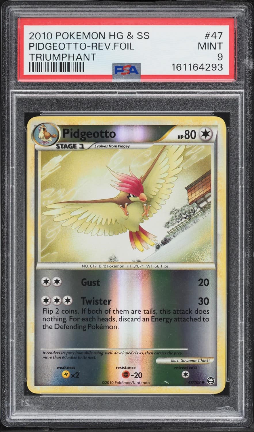 Pidgeotto