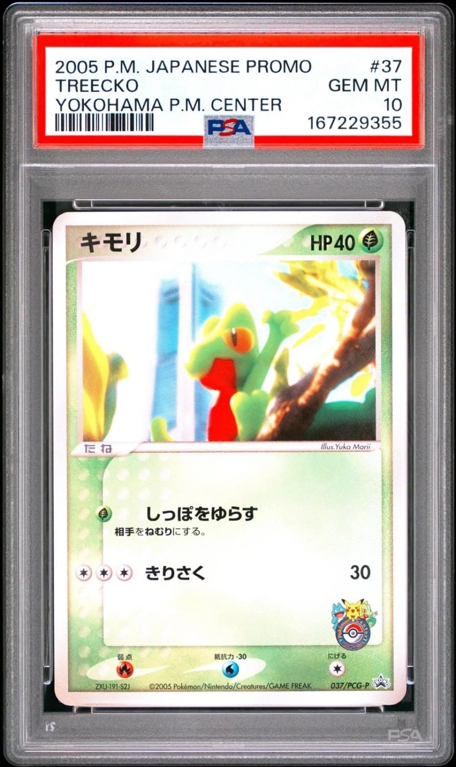 Treecko