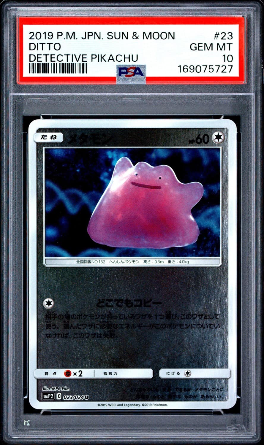 Ditto