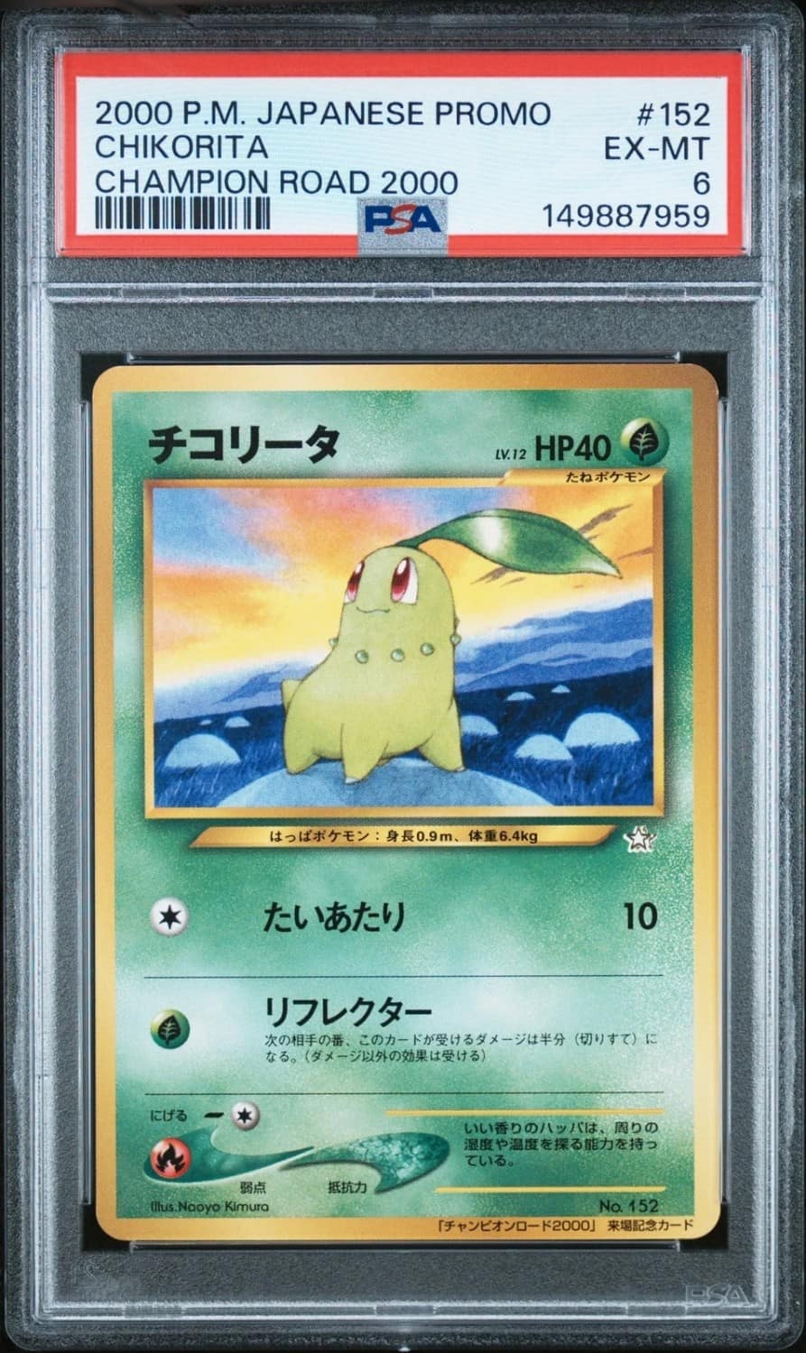 Chikorita