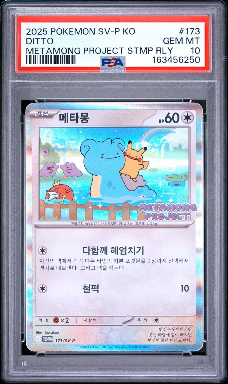 Ditto