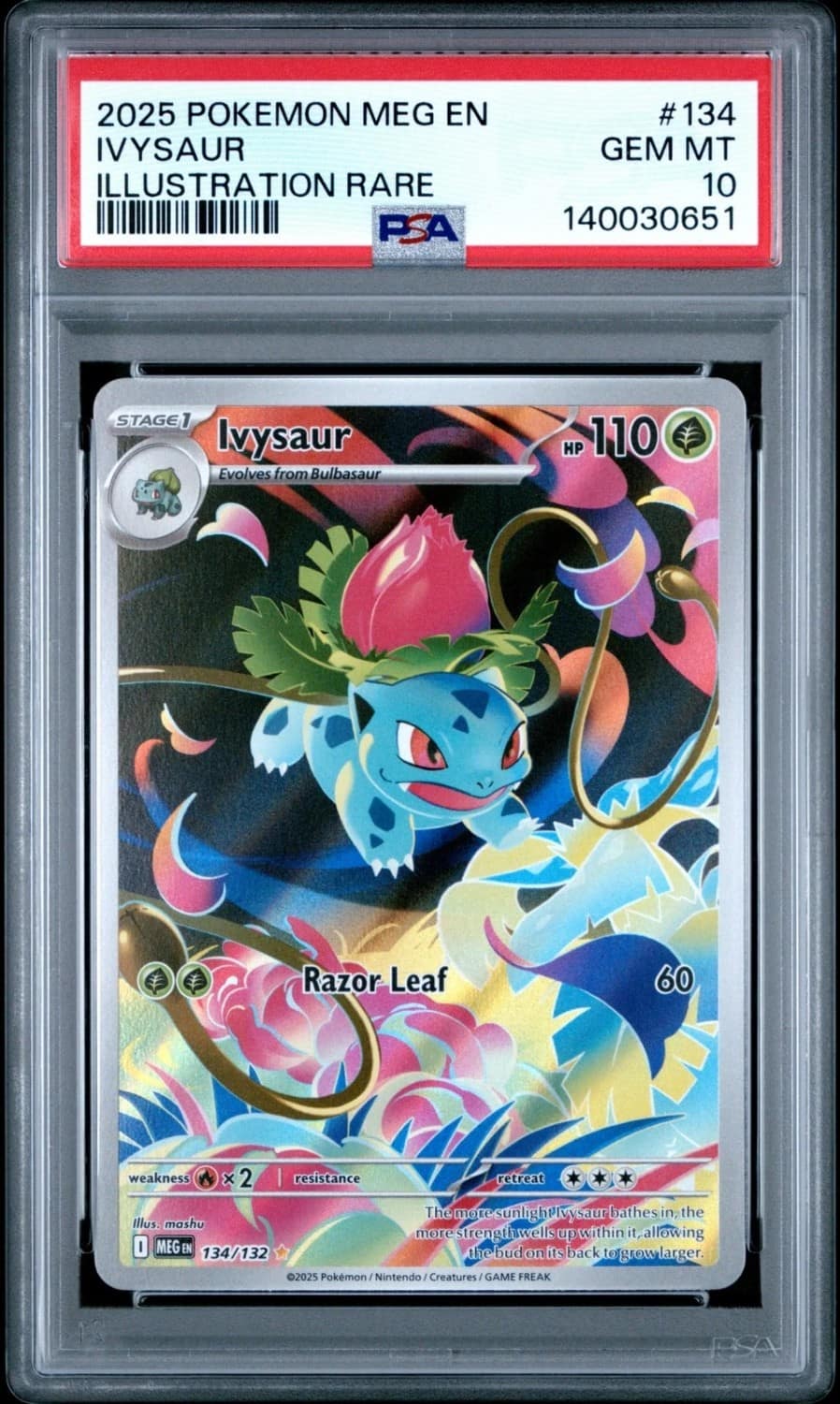 Ivysaur