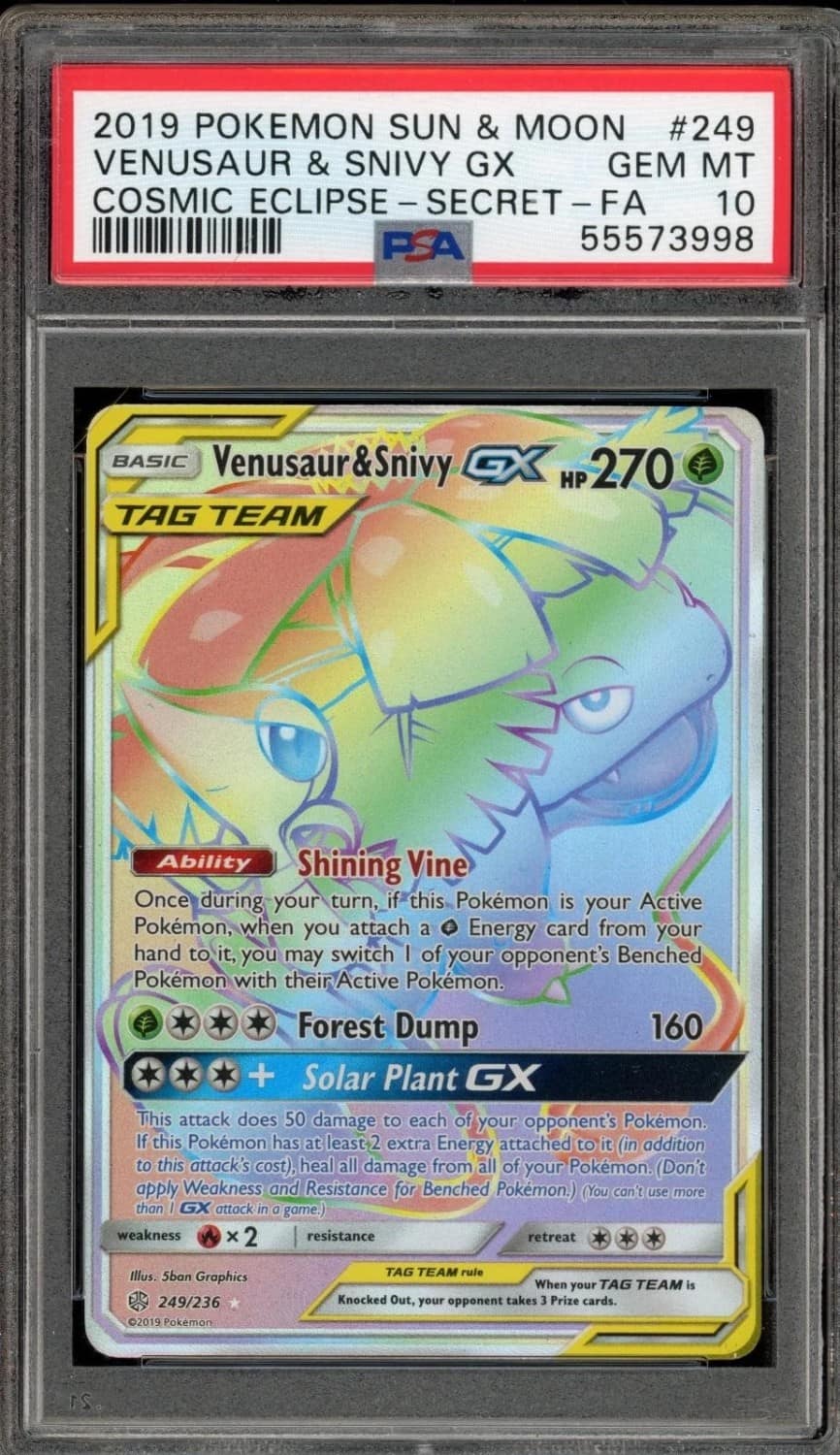 Venusaur & Snivy Gx