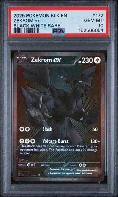 Zekrom Ex