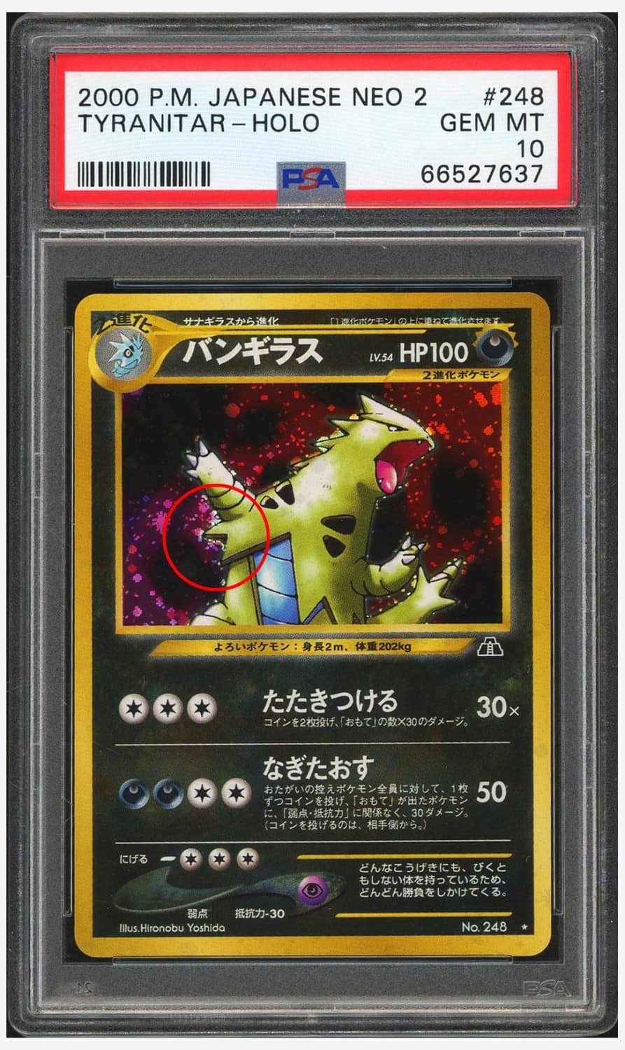 Tyranitar