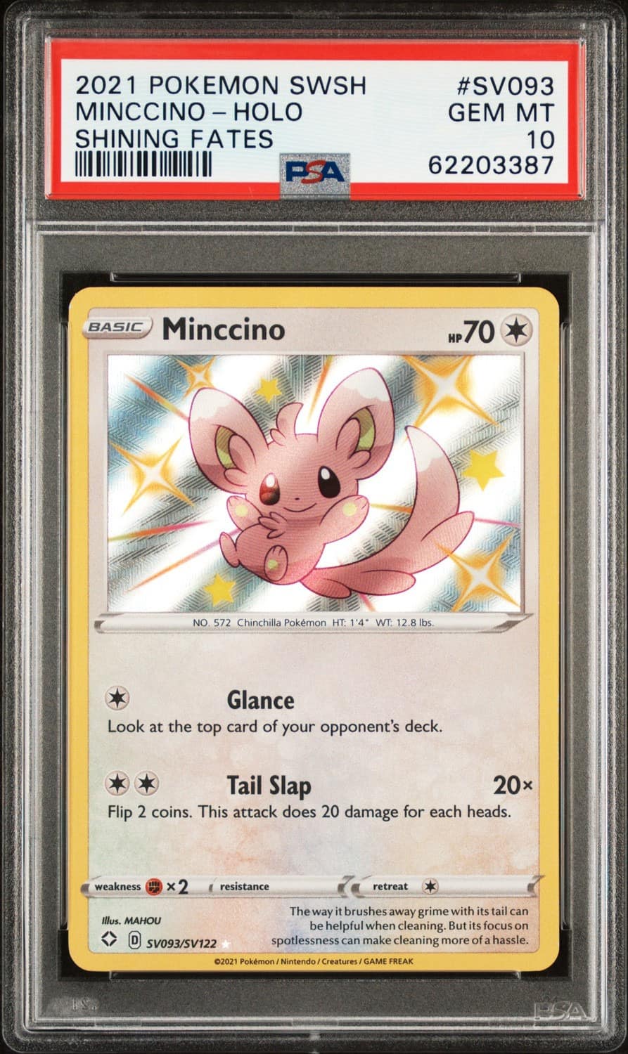 Minccino