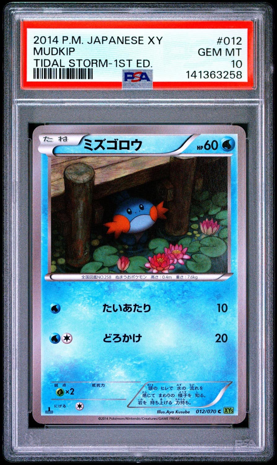 Mudkip