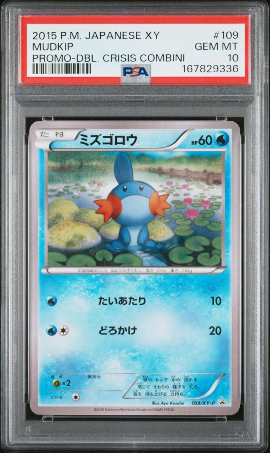 Mudkip