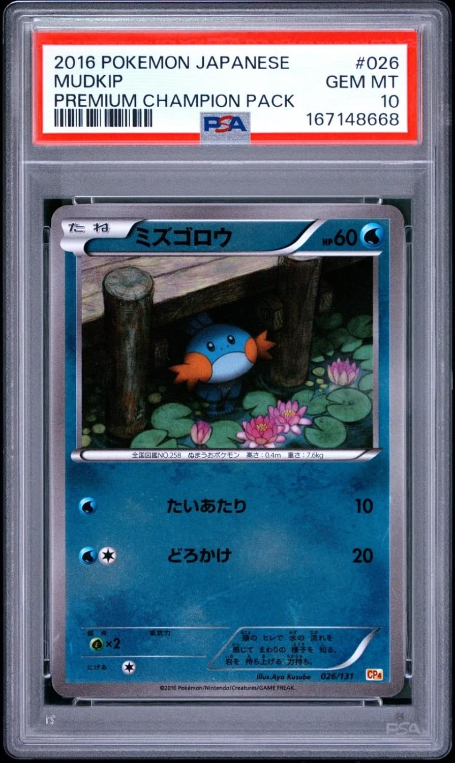 Mudkip