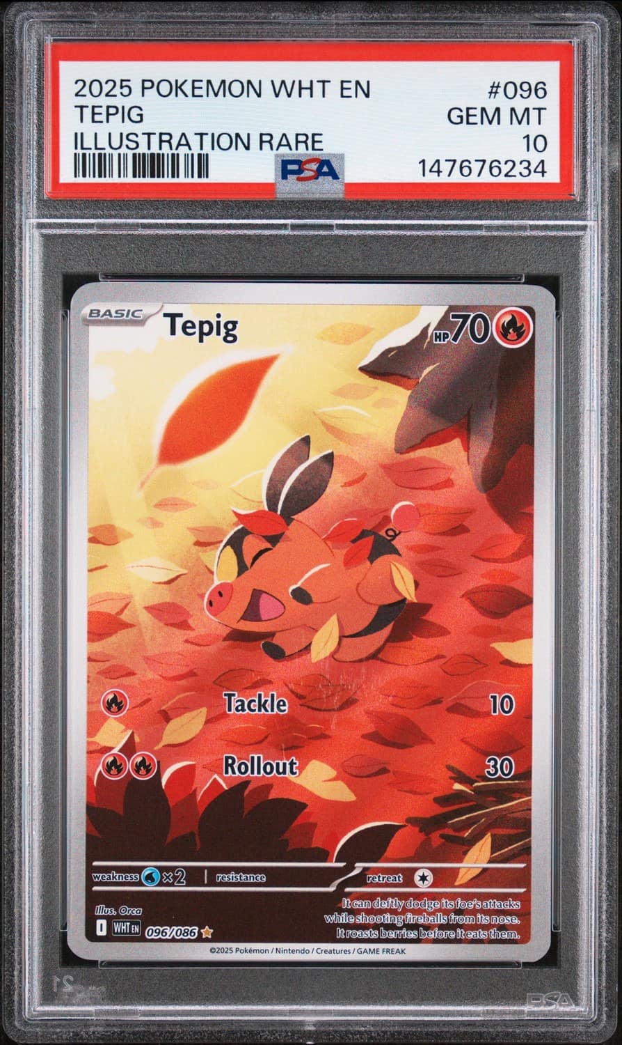 Tepig